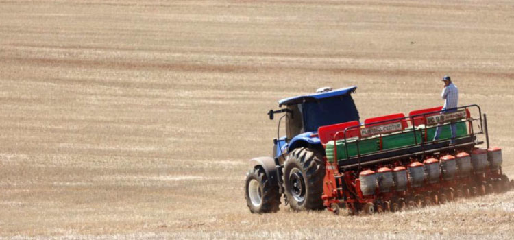 Decisão do STF coloca em risco 24 mil hectares reivindicados por indígenas no oeste do Paraná.