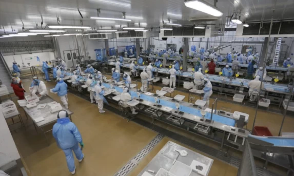 Demanda Recorde: Dezembro Começa com Mais de 27 Mil Vagas de Emprego no Paraná