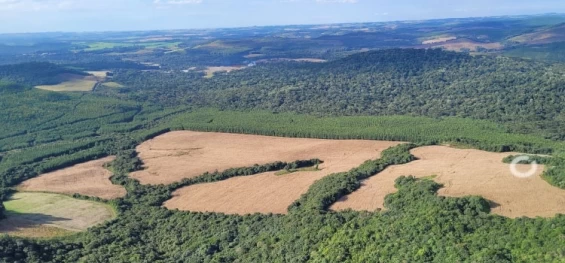 DESENVOLVIENTO SUSTENTÁVEL: Com fiscalização rígida, IAT aumenta número de autuações sobre os desmatamentos.
