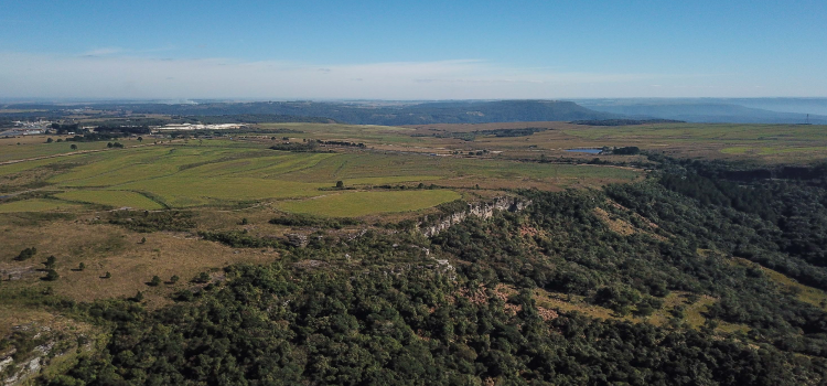 DESENVOLVIMENTO SUSTENTÁVEL: Estado prorroga prazo de adesão obrigatória dos municípios ao sistema do ICMS Ecológico