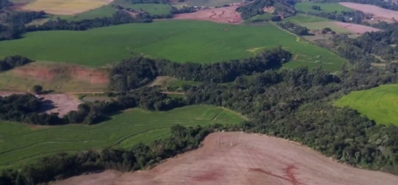 DESENVOLVIMENTO SUSTENTÁVEL: IAT aplica mais de R$ 3 milhões em multas por desmatamento ilegal na região Sudoeste.