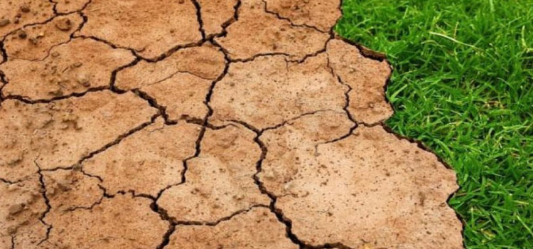 El Niño no Brasil vai ficar mais forte nos próximos meses; confira.