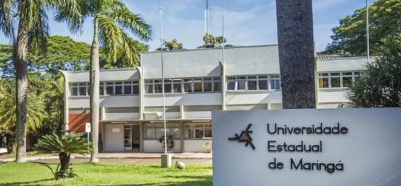 ENSINO SUPERIOR: Professores de universidades estaduais do PR entram em greve; 80 mil estudantes podem ficar sem aulas.