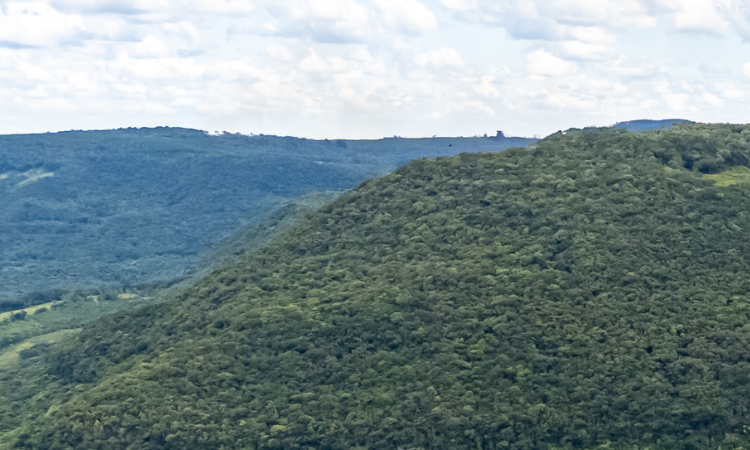 EPR Iguaçu realiza intervenção temporária no tráfego da Serra da Esperança para reparos emergenciais no pavimento