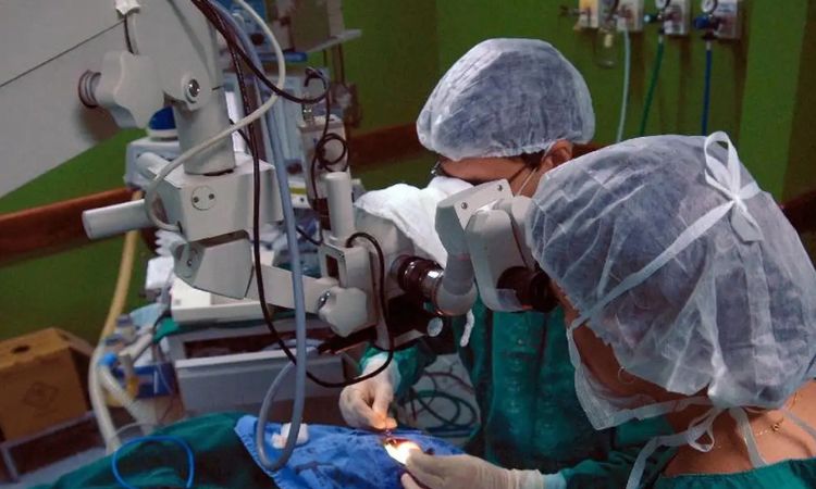 Estudo da USP revela que risco de morte após cirurgia cardíaca é 2,4 vezes maior em pacientes com doença de Chagas