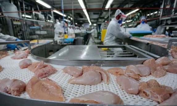 Exportação de carne do Paraná cresce 20,8% nos primeiros meses de 2025
