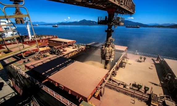 Exportações do Paraná Crescem 3,5% em Outubro Com Diversificação de Mercados