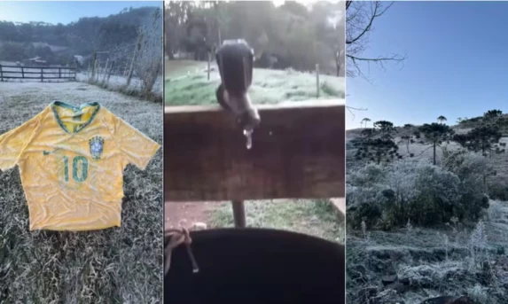 Frio Extremo: Santa Catarina registra o dia mais frio do ano com marcas de até -9,2°C e cidades 