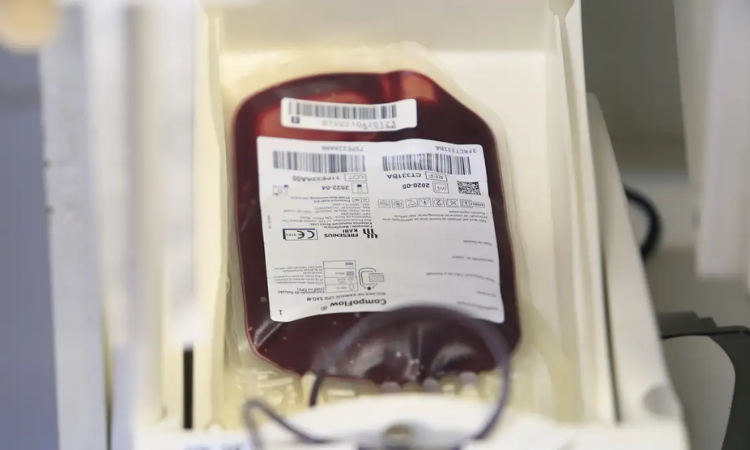 Fundação Pró-Sangue alerta para nível crítico nos estoques e pede prioridade à doação antes da vacinação