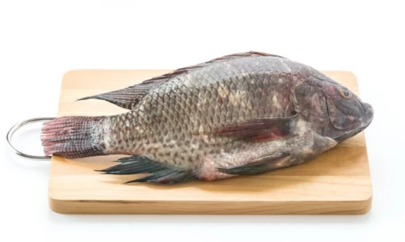 BC informa que teto para rotativo vale a partir desta quarta-feira