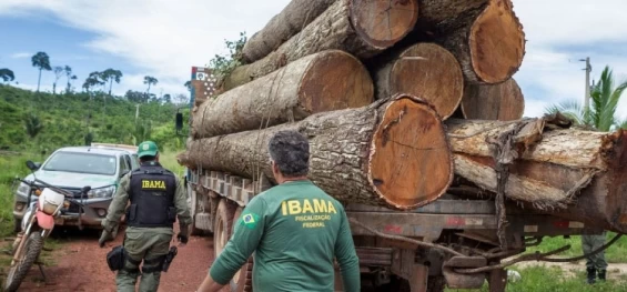 GERAL: Governo autoriza contratação de 257 servidores para o Ibama.