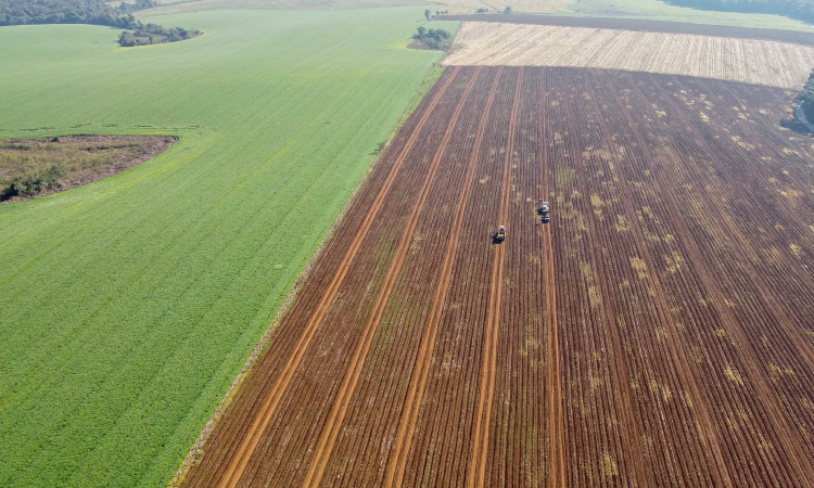 Governo do Estado divulga pesquisa com preços das terras agricultáveis no Paraná.