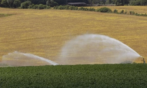 Governo do Paraná prorroga ICMS zero para o agronegócio até o final de 2026