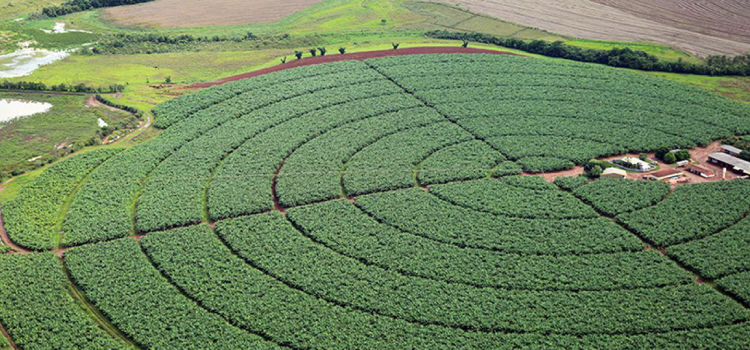 Governo fixa ações para avaliar importação de produtos agropecuários