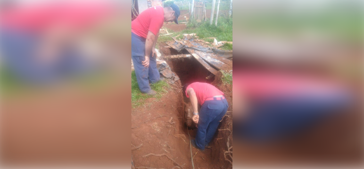 GUARANIAÇU: Bombeiros Comunitários resgatam animal que caiu em uma fossa de dejetos.