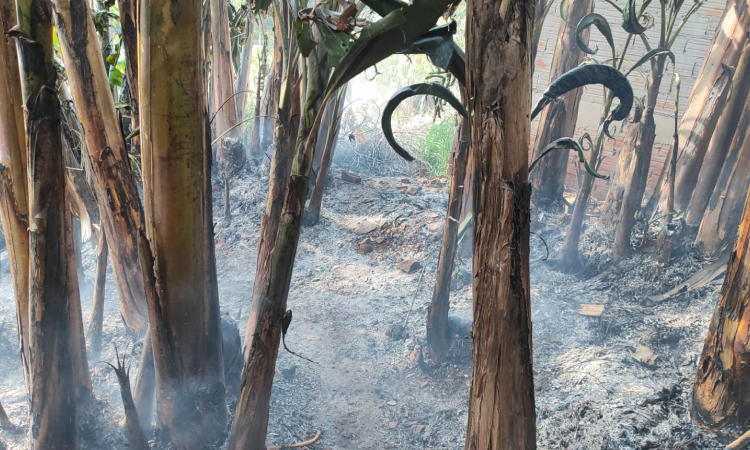 GUARANIAÇU: Bombeiros Comunitários são acionados para conter incêndio no bairro Vila Nova.