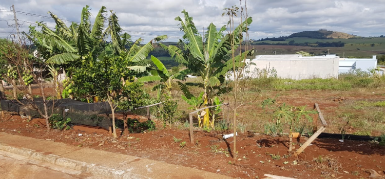 GUARANIAÇU - Projeto de desafetação de lotes no bairro Paris é suspenso para revisão