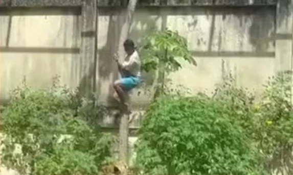 Homem Invade Jaula de Leoa e Morre Atacado em Zoológico na Paraíba