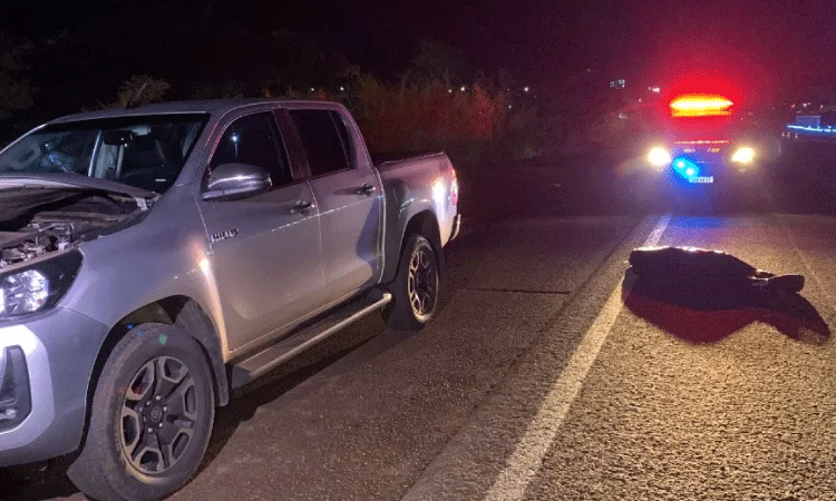 Homem morre atropelado na BR-369 entre Cascavel e Corbélia