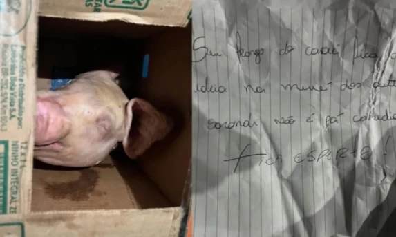 Homem recebe cabeça de porco e bilhete com ameaças em Sarandi