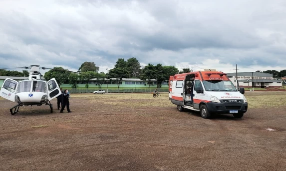 IBEMA: Homem fica em estado grave após ataque de abelhas.