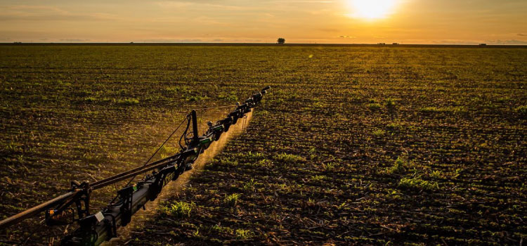 IBGE: 32% dos solos do país têm potencial natural para a agricultura.