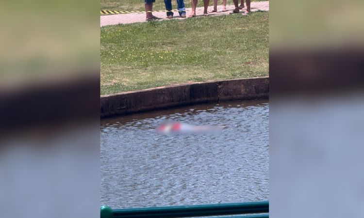 IDENTIFICADA MULHER ENCONTRADA MORTA NO LAGO MUNICIPAL DE IBEMA