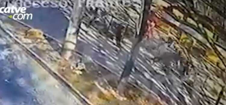 IMAGENS FORTES: Vídeo mostra acidente com motociclista que foi decapitado na Ponte da Amizade.