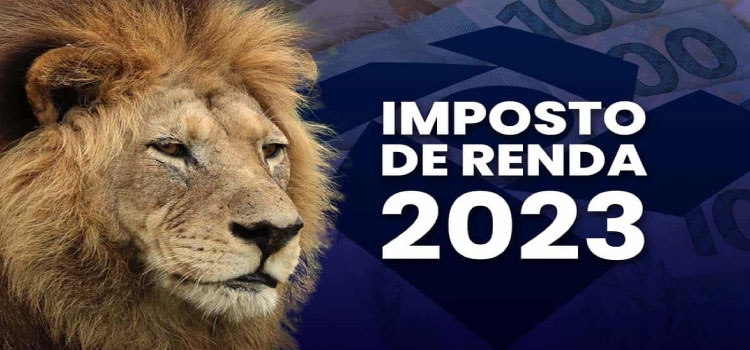 IMPOSTO DE RENDA 2023: Esqueci de declarar um bem em outro ano; que fazer?