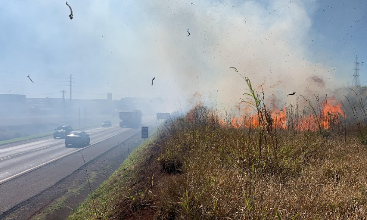 Incêndio em vegetação às margens da BR 369 mobiliza Bombeiros