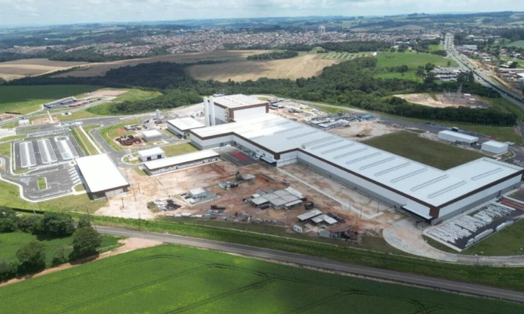 Investimento de R$ 1 Bilhão: Paraná se Torna o 1º Estado com Produção de Cerveja do 