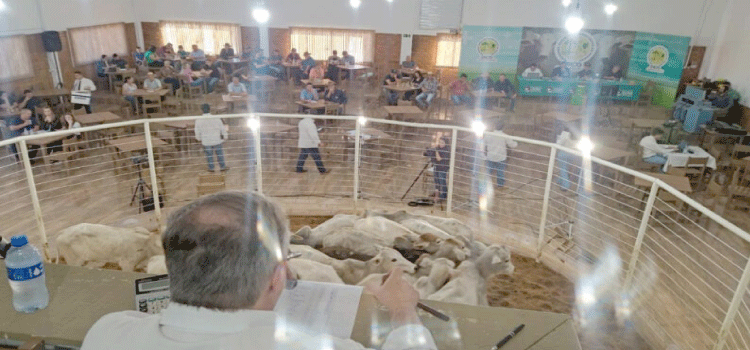 LARANJEIRAS DO SUL: Feira de gado de corte da Sociedade Rural movimenta a pecuária regional.