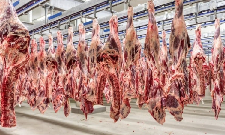 Mais 38 frigoríficos brasileiros podem exportar carnes para a China