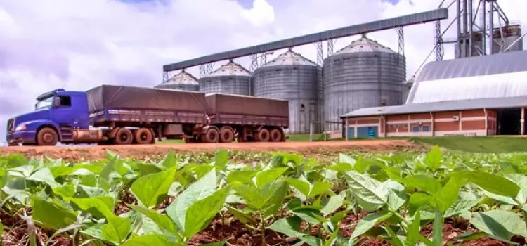 Novas regras de trânsito têm impacto no campo