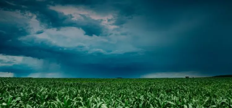 Outono deve manter irregularidade no clima no Paraná