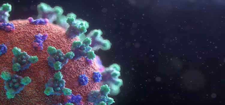 PANDEMIA: Covid-19: Nova variante ômicron XE preocupa e pode ser a mais contagiosa já vista.