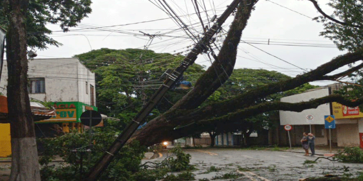 PARANÁ: Após fortes chuvas, equipes da Copel trabalham em todo o Estado para recompor rede de energia.