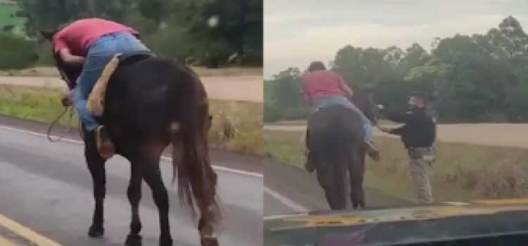 PARANÁ: Cavaleiro embriagado acaba escoltado pela PRF ao trafegar sem rumo na BR-163.