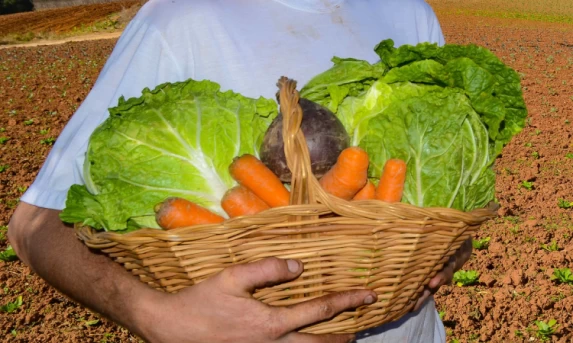 Paraná é o segundo estado com maior segurança alimentar do Brasil, aponta IBGE.