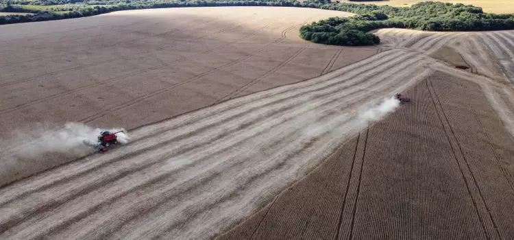 Paraná exporta menos soja no 1º quadrimestre, mas produtor tem remuneração maior