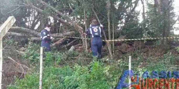 PARANÁ: Homem morre esmagado por árvore em área rural do município de Ampére.