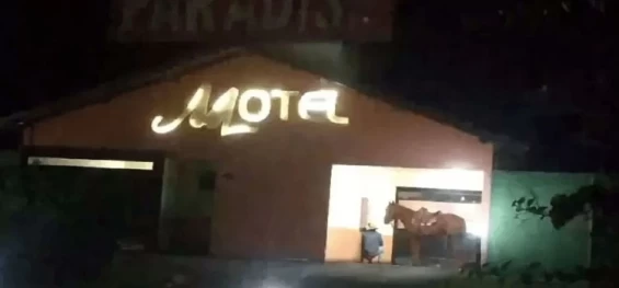 PARANÁ: Homem usa cavalo para ir a motel e viraliza nas redes sociais.