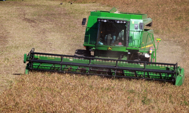 Paraná inicia colheita da segunda safra com perspectiva de recorde na produção de feijão.