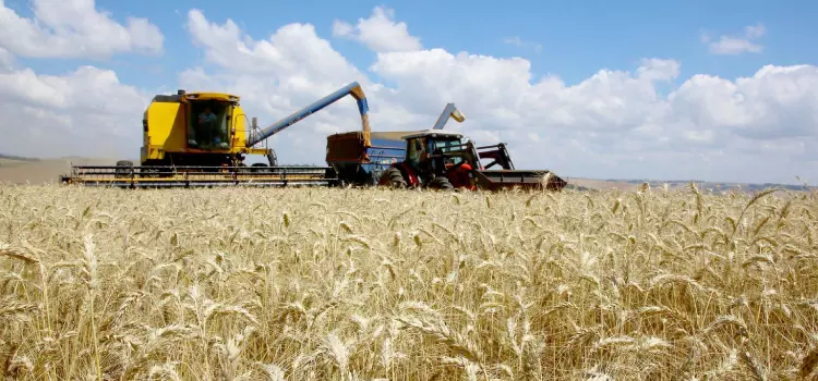 Paraná lança Residência Técnica em Economia Rural; inscrições vão até o dia 12 de julho