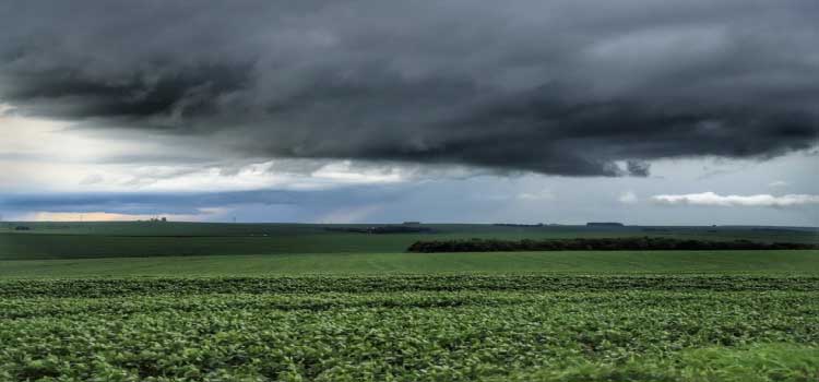 CLIMA: Paraná tem previsão de temporais a partir desta quinta-feira (14)