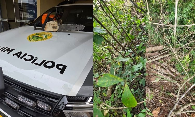 Policial: Homem é preso por corte ilegal de madeira nativa às margens da PR-484 em Três Barras do Paraná