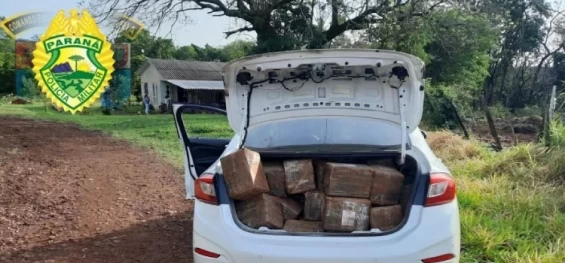 POLICIAL: Polícia apreende 736kg de maconha em Vera Cruz do Oeste.