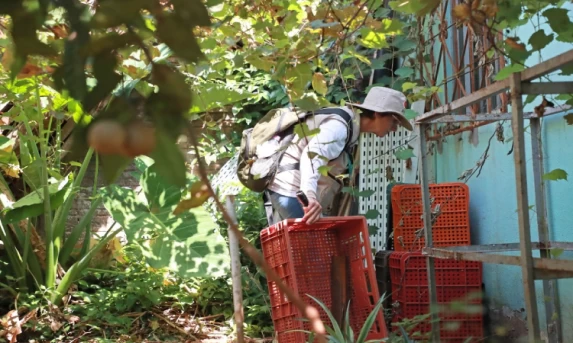 Prefeitura e Sanepar promovem Dia D contra a dengue neste sábado (13) em Cascavel.