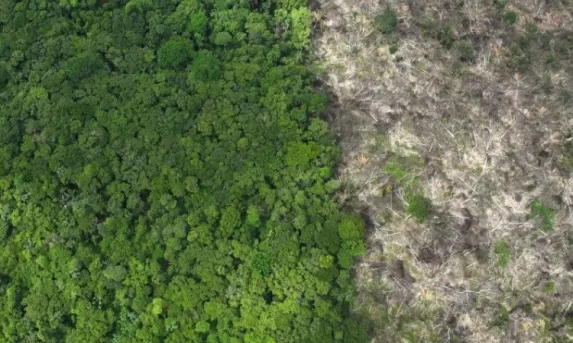 BC informa que teto para rotativo vale a partir desta quarta-feira