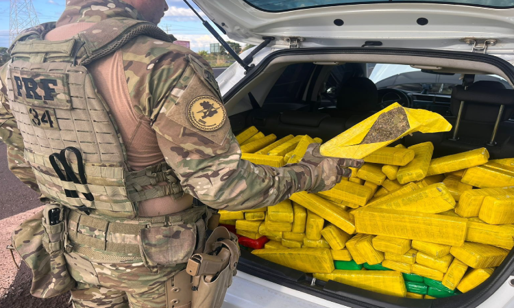 PRF apreende meia tonelada de maconha em Cascavel.